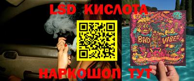 jwh Камышлов